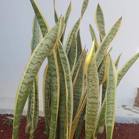 Villa Hipoclub Villas, Aguamarina 30 Playa Blanca